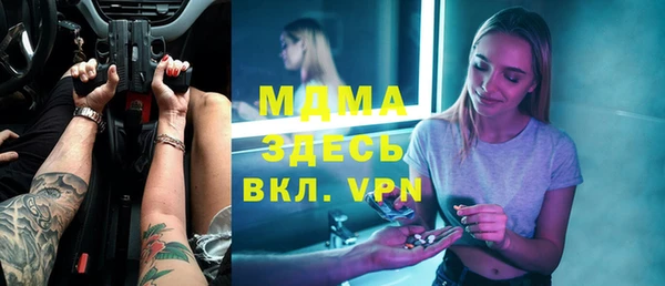 индика Алексин