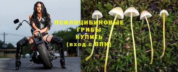 марки lsd Армянск