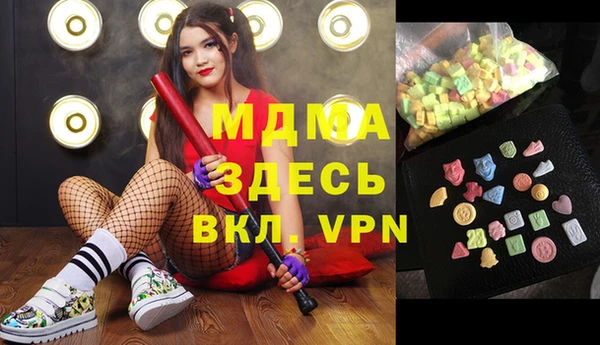 индика Алексин