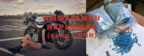 индика Алексин